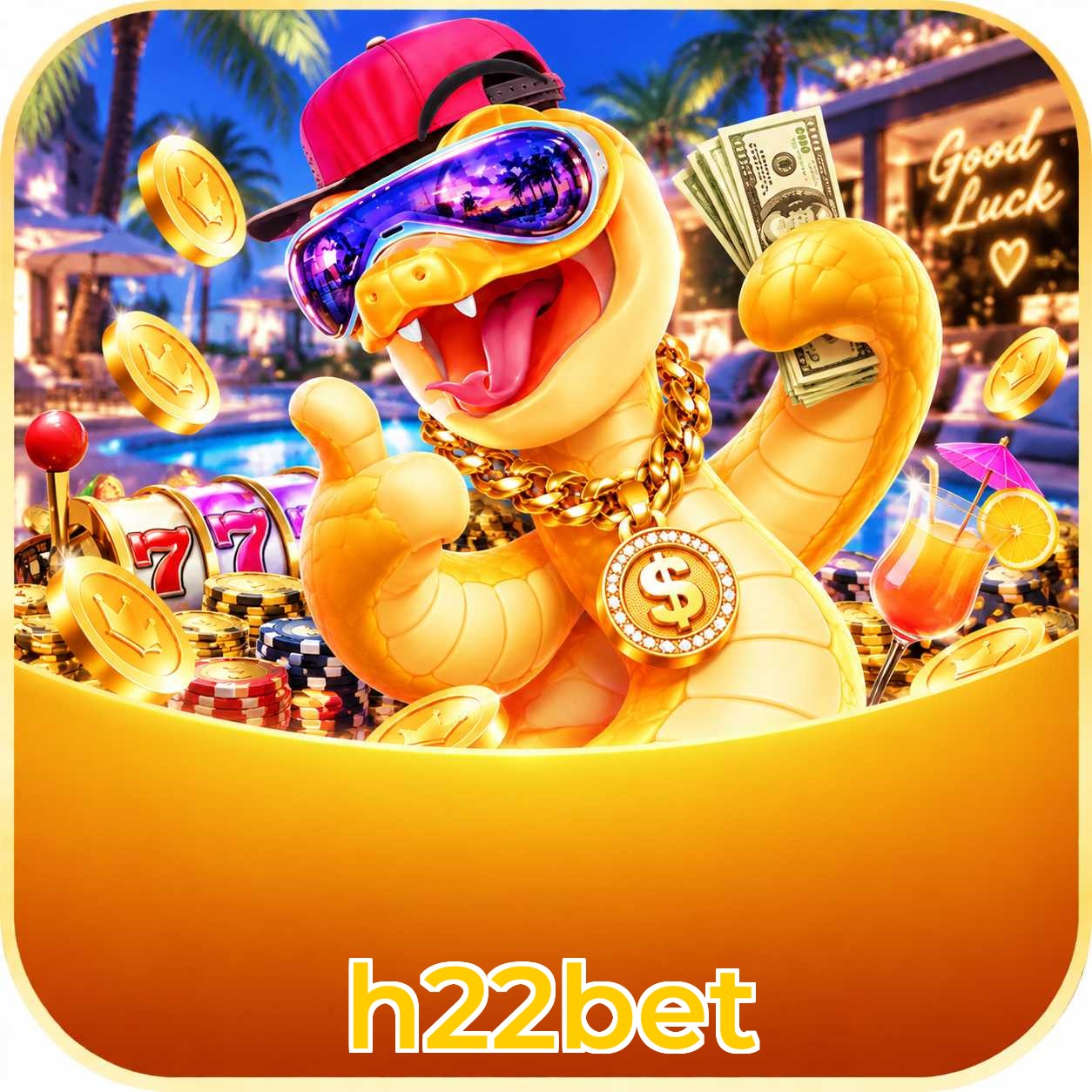 h22bet Live Dealers